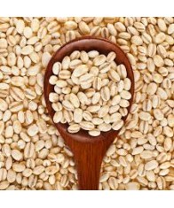 BARLEY-500gms
