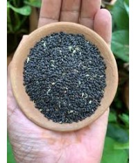 BASIL SEEDS-250gms