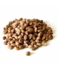 CHIRONJI NUTS / SARAPAPPU-100gms