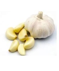 GARLIC-500gms