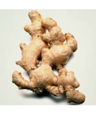 GINGER-500gms