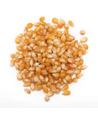 POPCORN SEEDS-250gms