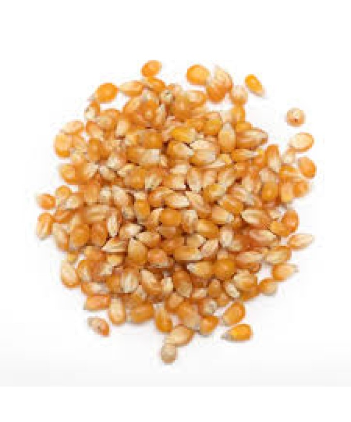 POPCORN SEEDS-250gms