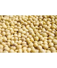 SOYA BEANS-500gms