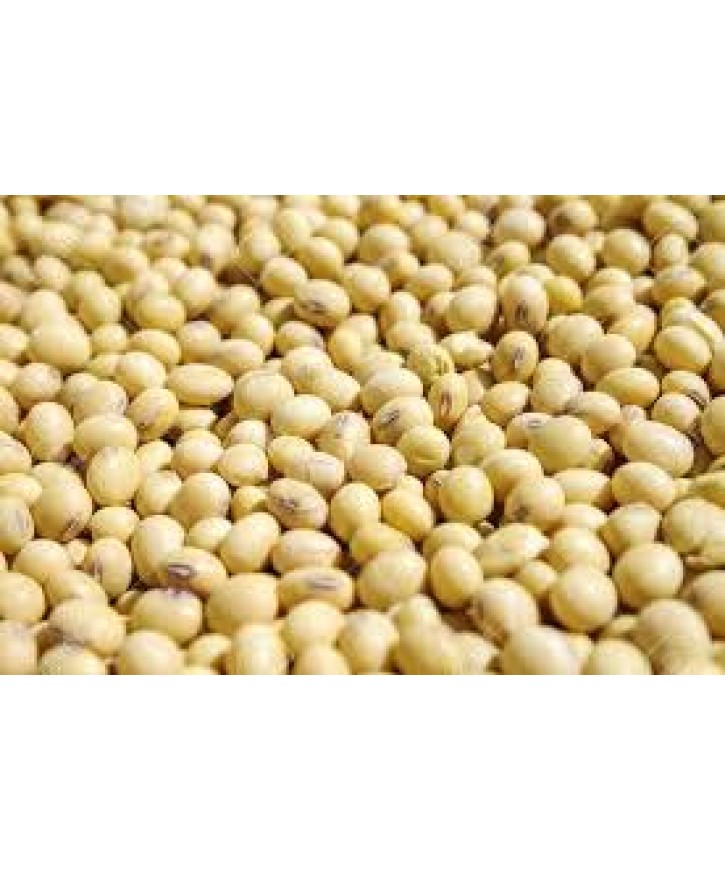 SOYA BEANS-500gms